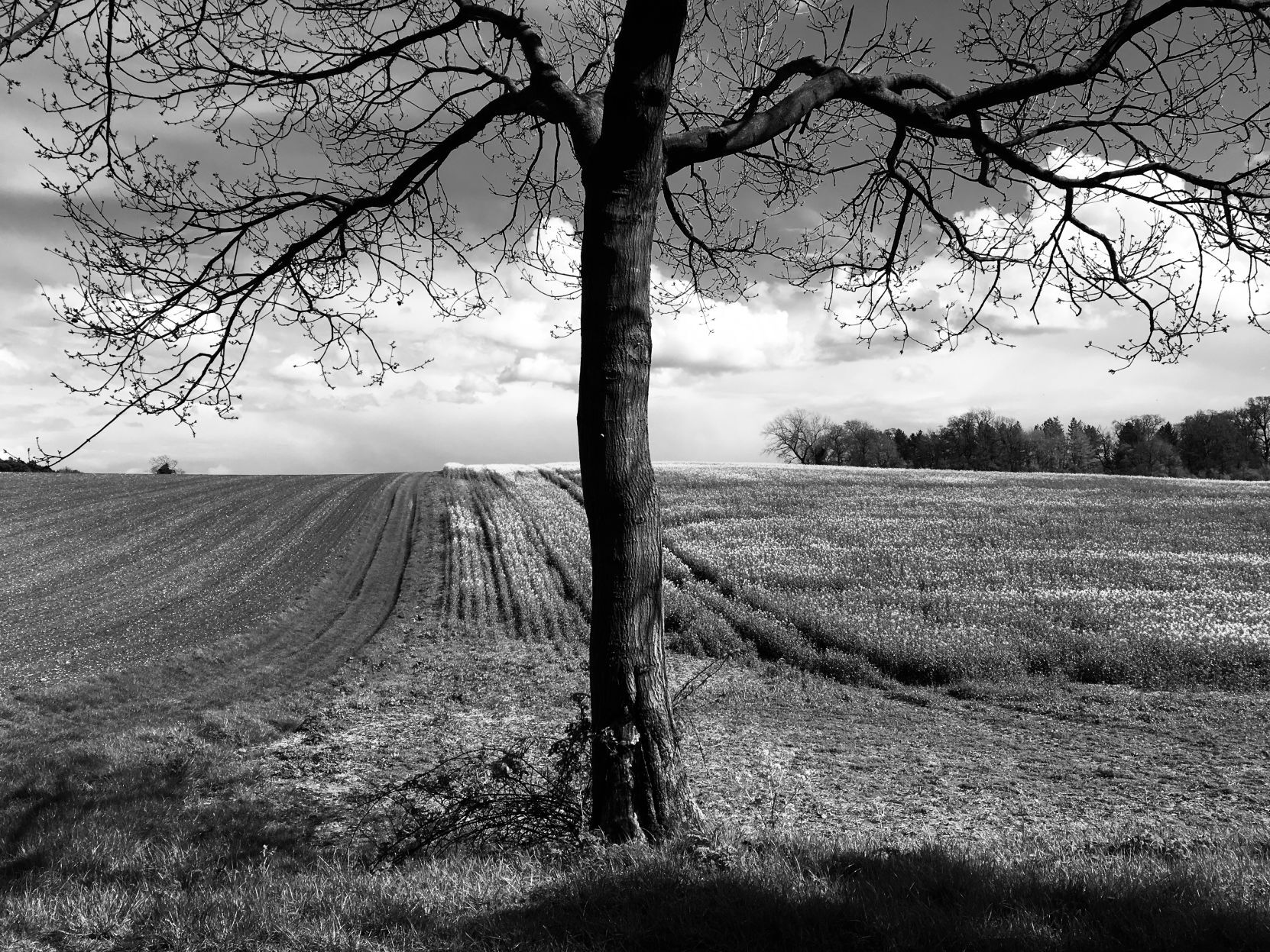 LFH-Looking out. Photo by the author.JPG